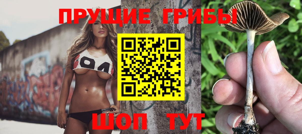Галлюциногенные грибы Cubensis  Псилоцибиновые грибы ЛСД  Десногорск  Вход с VPN 